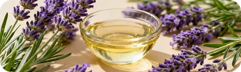 Lavender Oil used in Nail Defender